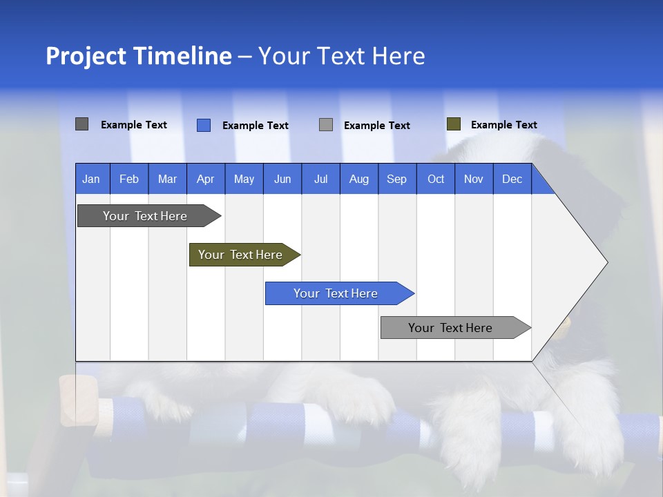 Stuhl Blue Merle Australian Shepherd PowerPoint Template