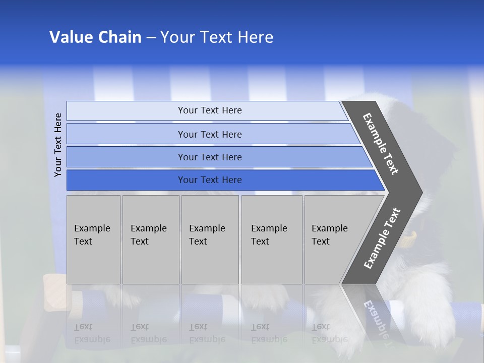 Stuhl Blue Merle Australian Shepherd PowerPoint Template