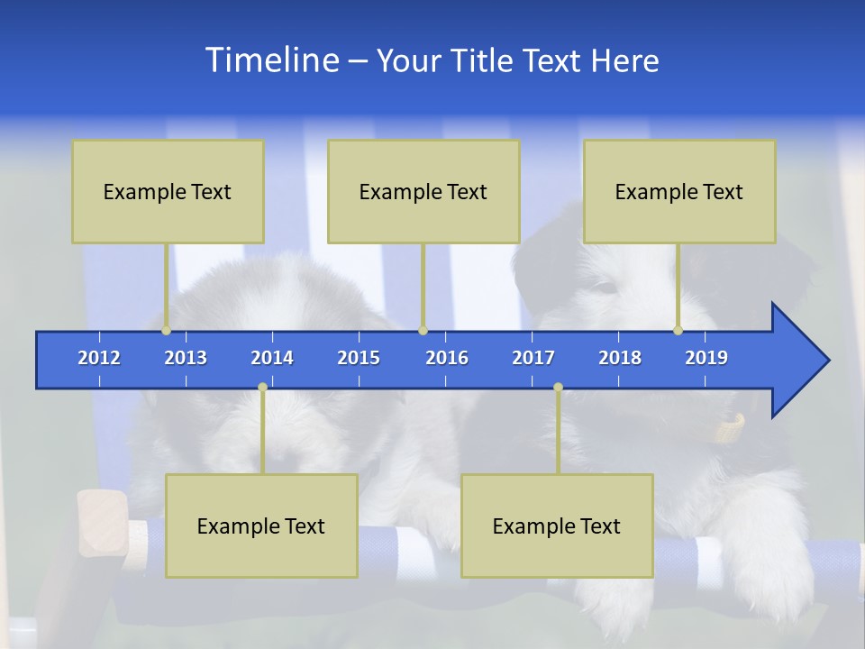 Stuhl Blue Merle Australian Shepherd PowerPoint Template