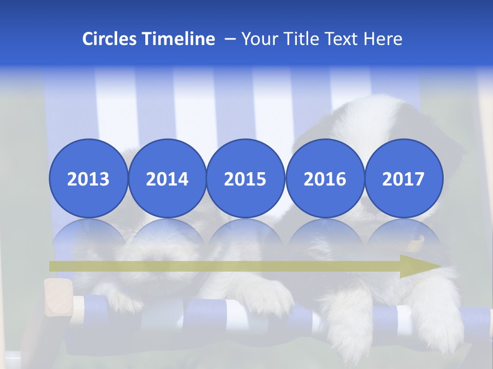 Stuhl Blue Merle Australian Shepherd PowerPoint Template