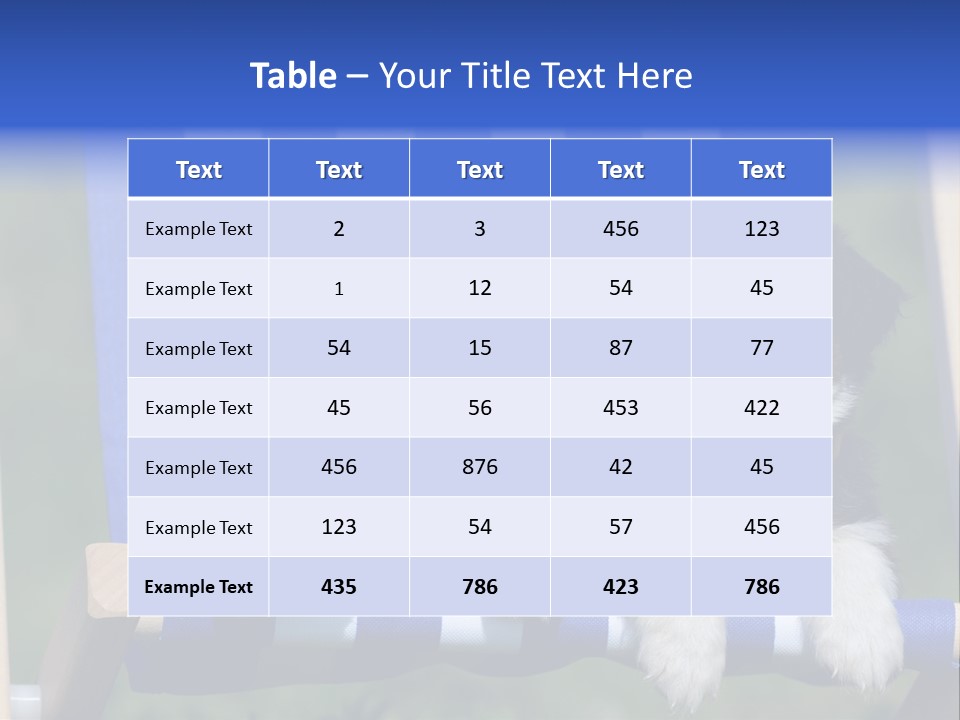 Stuhl Blue Merle Australian Shepherd PowerPoint Template