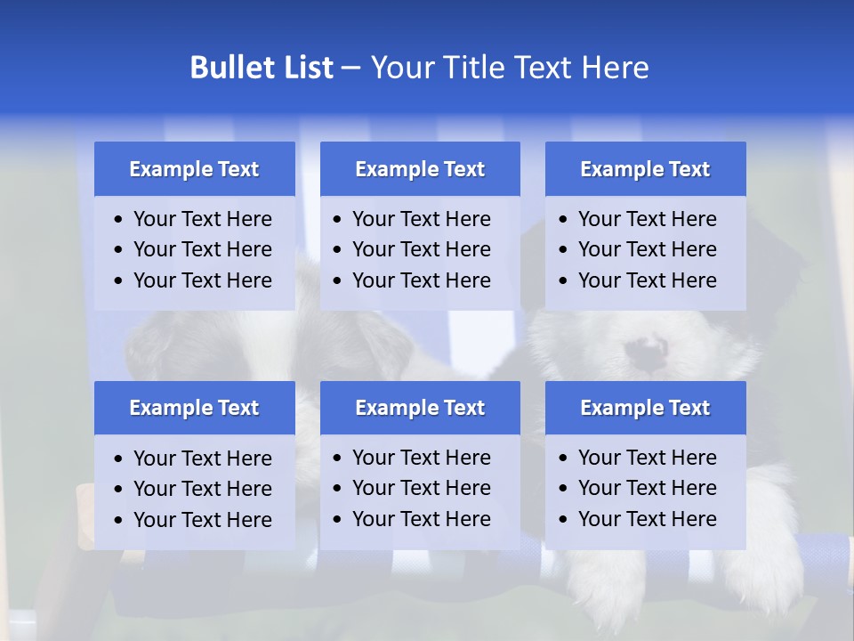 Stuhl Blue Merle Australian Shepherd PowerPoint Template