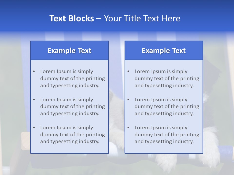 Stuhl Blue Merle Australian Shepherd PowerPoint Template