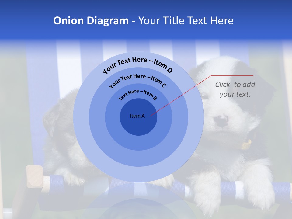 Stuhl Blue Merle Australian Shepherd PowerPoint Template