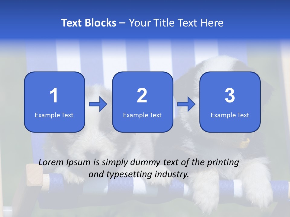 Stuhl Blue Merle Australian Shepherd PowerPoint Template