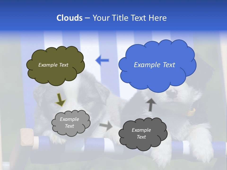 Stuhl Blue Merle Australian Shepherd PowerPoint Template
