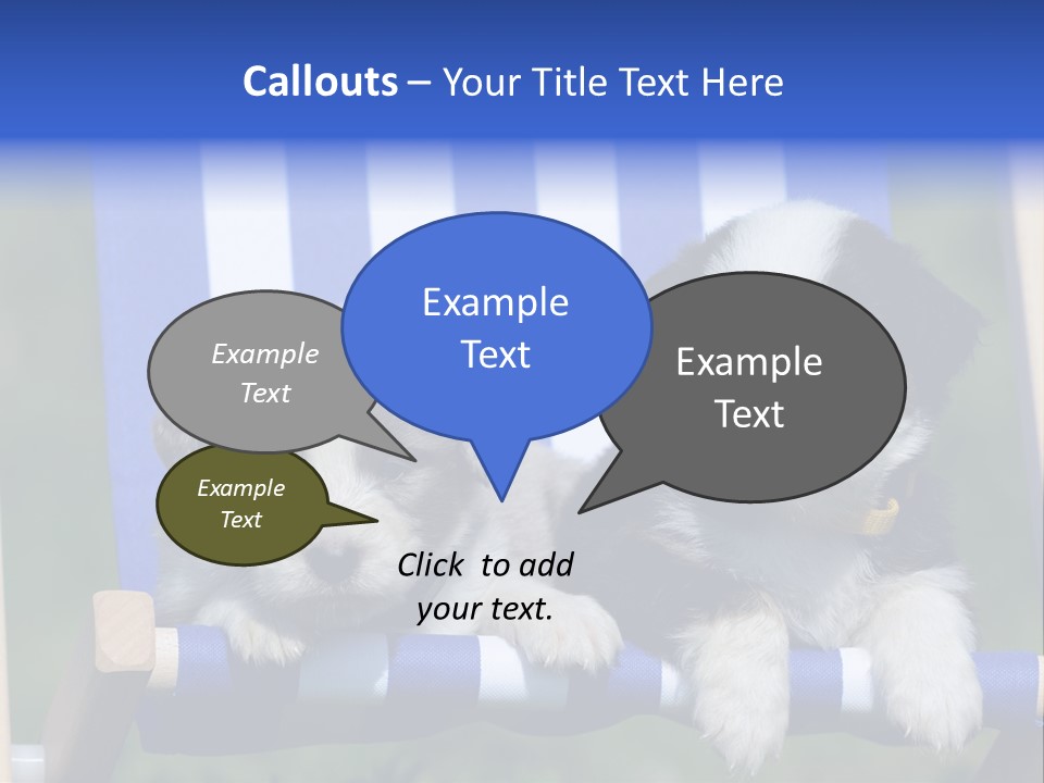 Stuhl Blue Merle Australian Shepherd PowerPoint Template