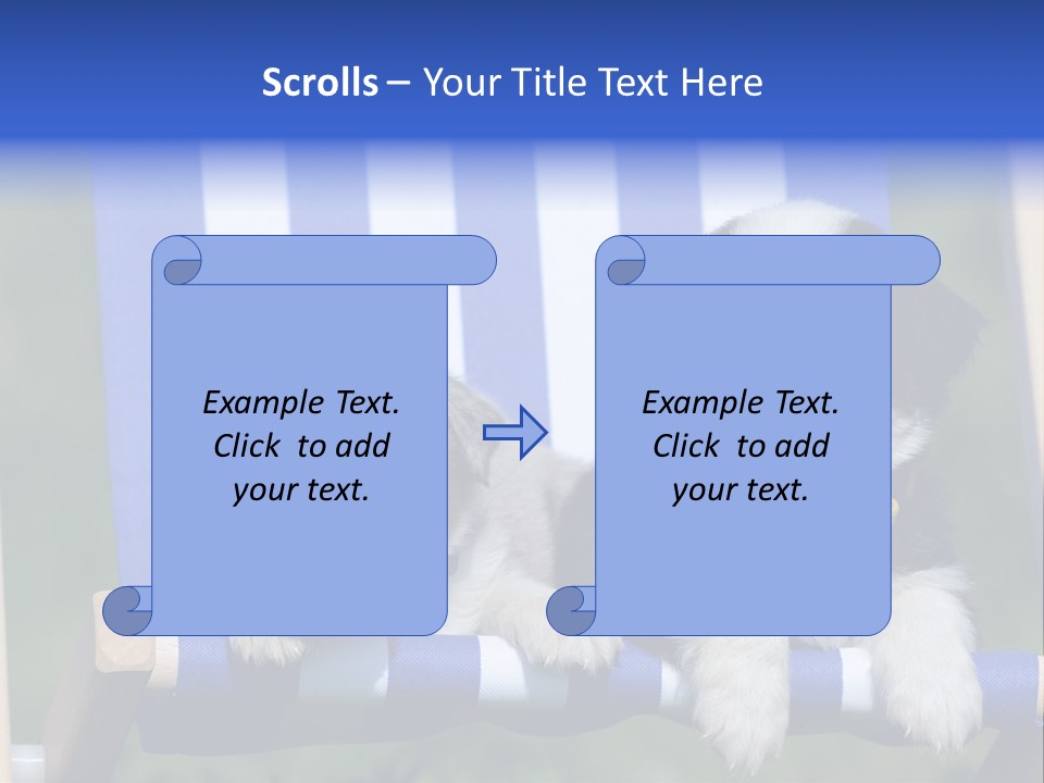 Stuhl Blue Merle Australian Shepherd PowerPoint Template