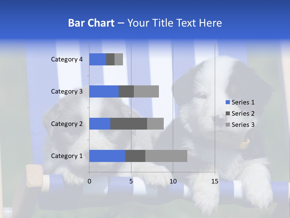 Stuhl Blue Merle Australian Shepherd PowerPoint Template