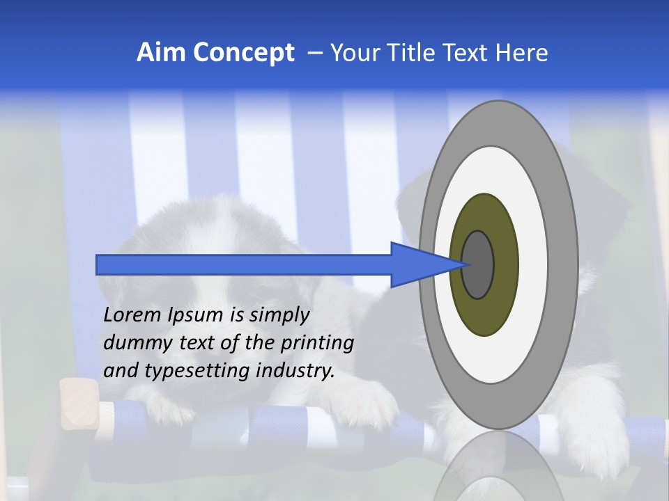 Stuhl Blue Merle Australian Shepherd PowerPoint Template