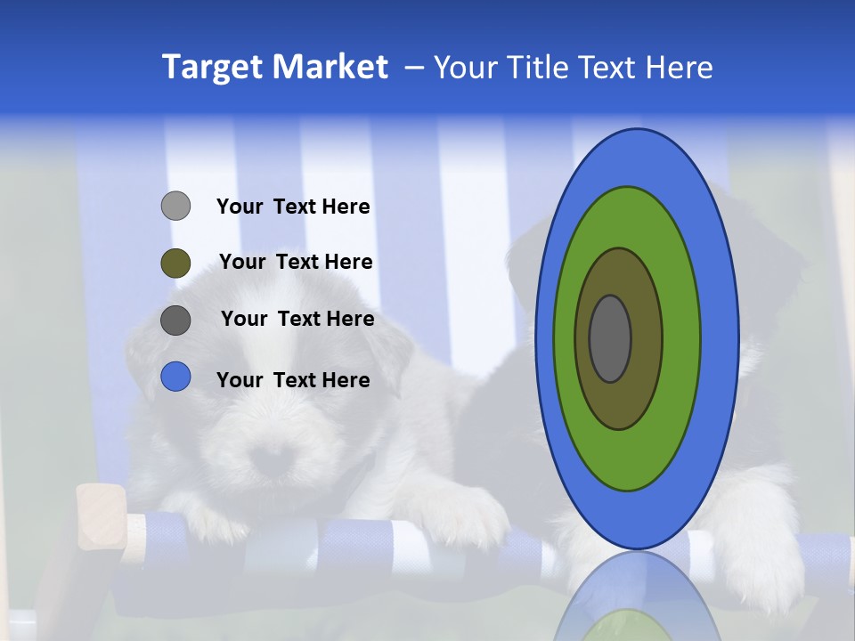 Stuhl Blue Merle Australian Shepherd PowerPoint Template