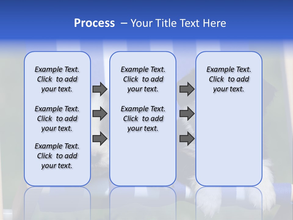 Stuhl Blue Merle Australian Shepherd PowerPoint Template