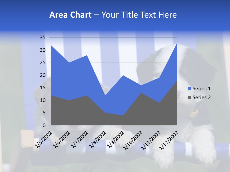Stuhl Blue Merle Australian Shepherd PowerPoint Template