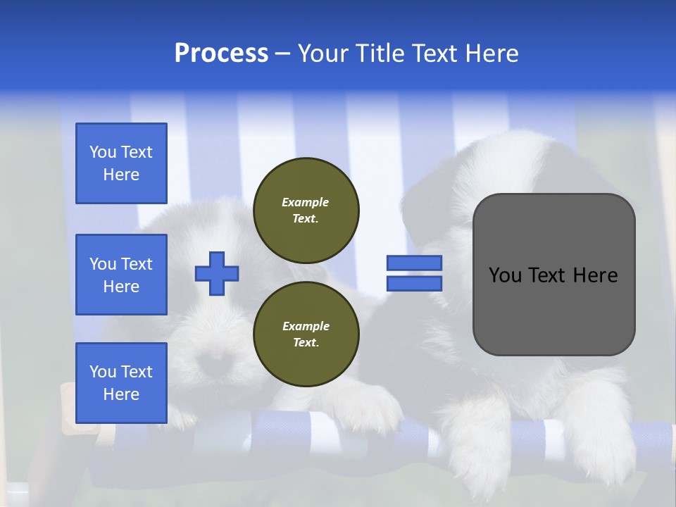 Stuhl Blue Merle Australian Shepherd PowerPoint Template