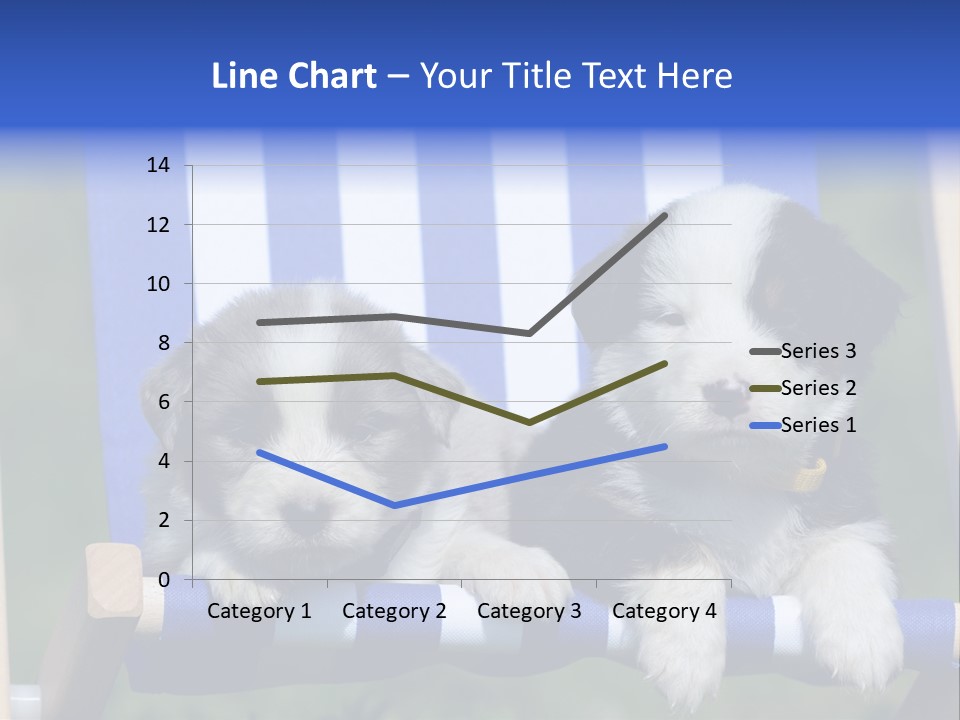 Stuhl Blue Merle Australian Shepherd PowerPoint Template