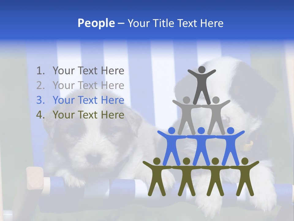 Stuhl Blue Merle Australian Shepherd PowerPoint Template