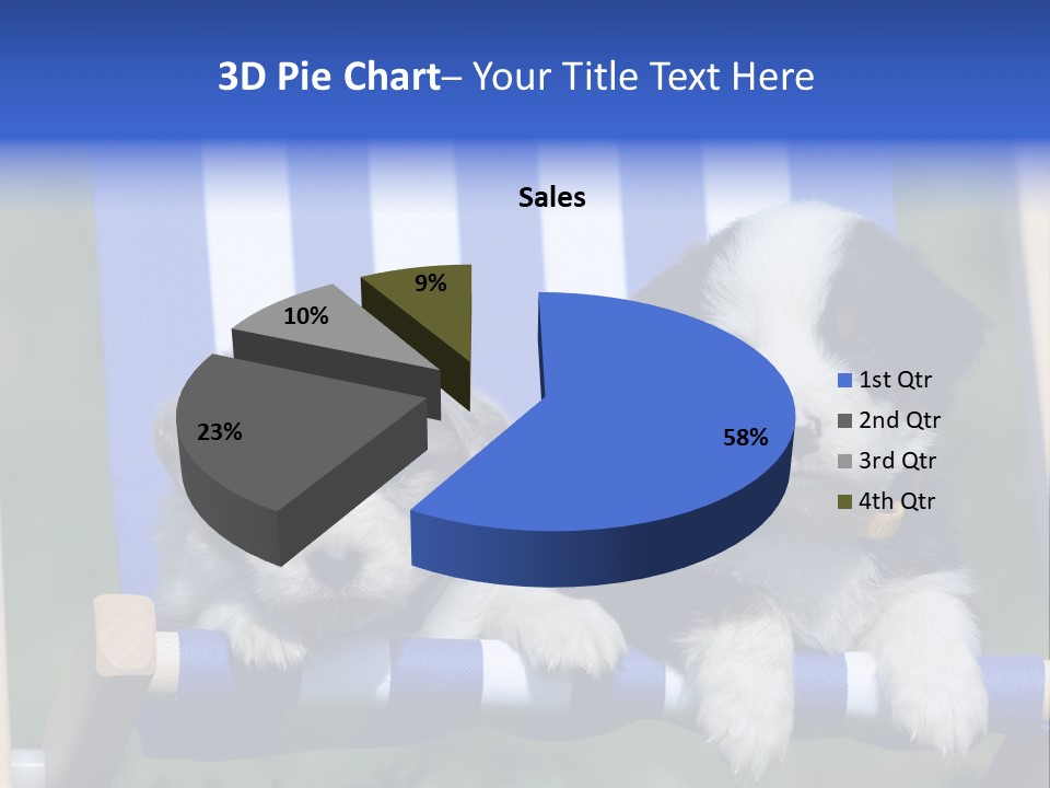 Stuhl Blue Merle Australian Shepherd PowerPoint Template