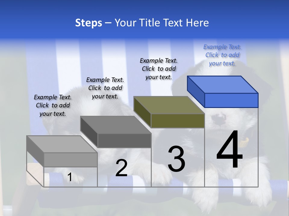 Stuhl Blue Merle Australian Shepherd PowerPoint Template