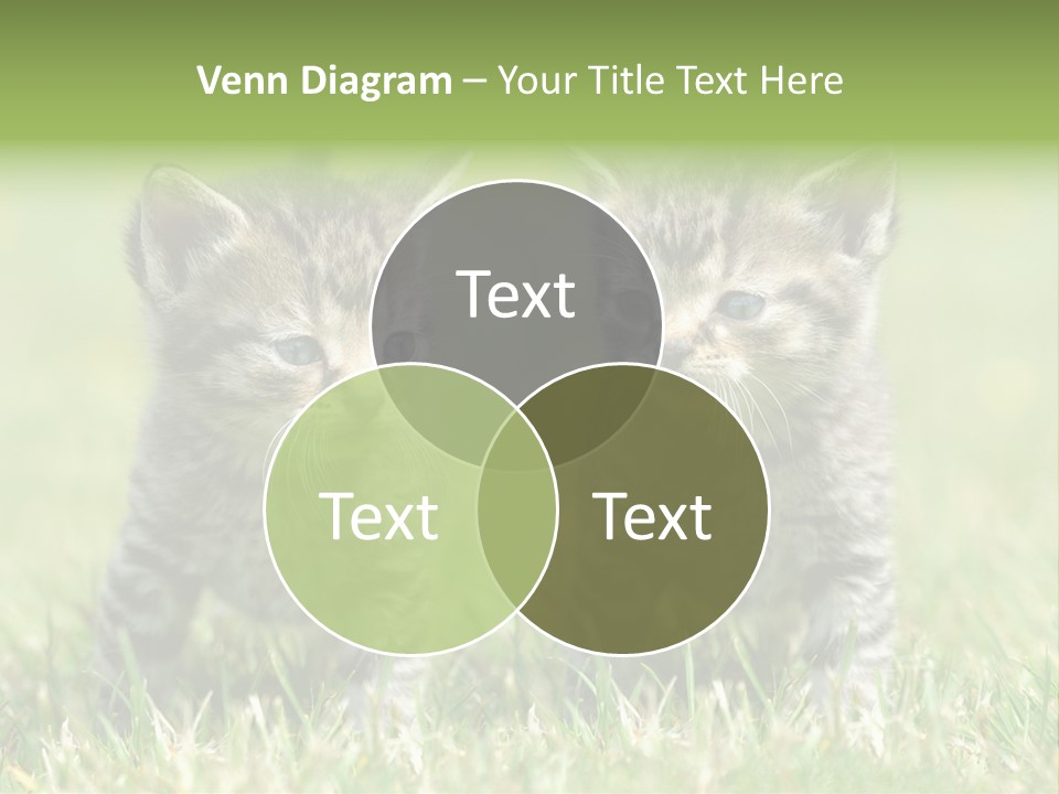 Laufende Laufen Rasen PowerPoint Template