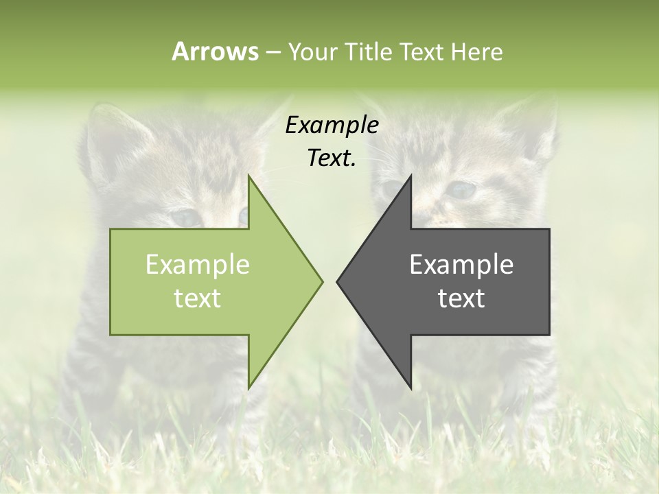 Laufende Laufen Rasen PowerPoint Template