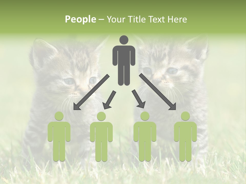 Laufende Laufen Rasen PowerPoint Template