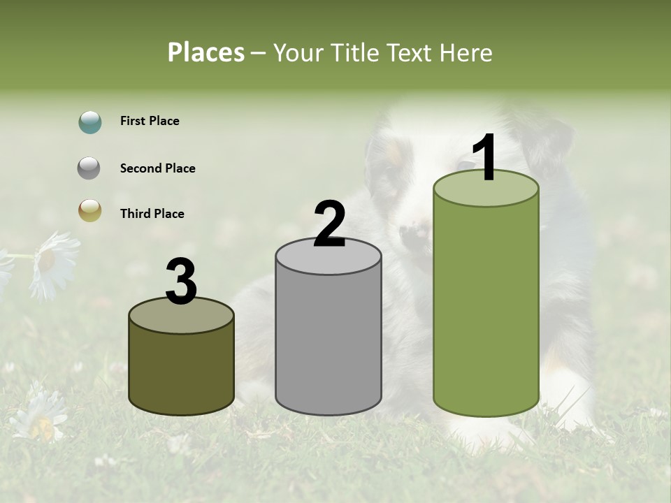 Hunde Hundewelpe Niedlich PowerPoint Template