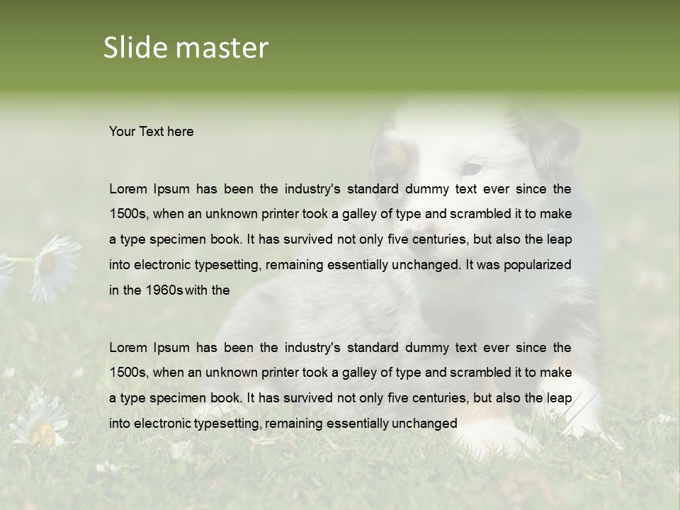 Hunde Hundewelpe Niedlich PowerPoint Template