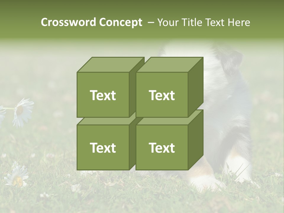 Hunde Hundewelpe Niedlich PowerPoint Template