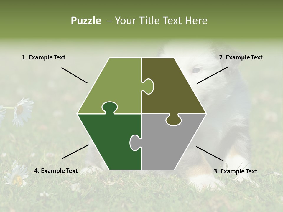 Hunde Hundewelpe Niedlich PowerPoint Template