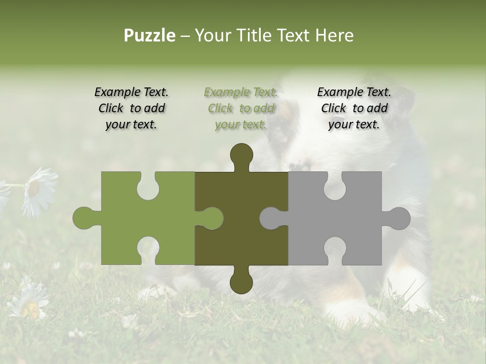 Hunde Hundewelpe Niedlich PowerPoint Template