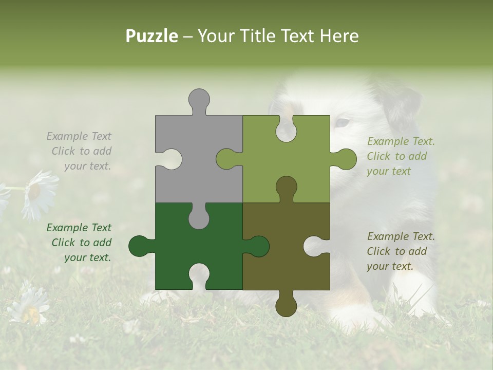 Hunde Hundewelpe Niedlich PowerPoint Template