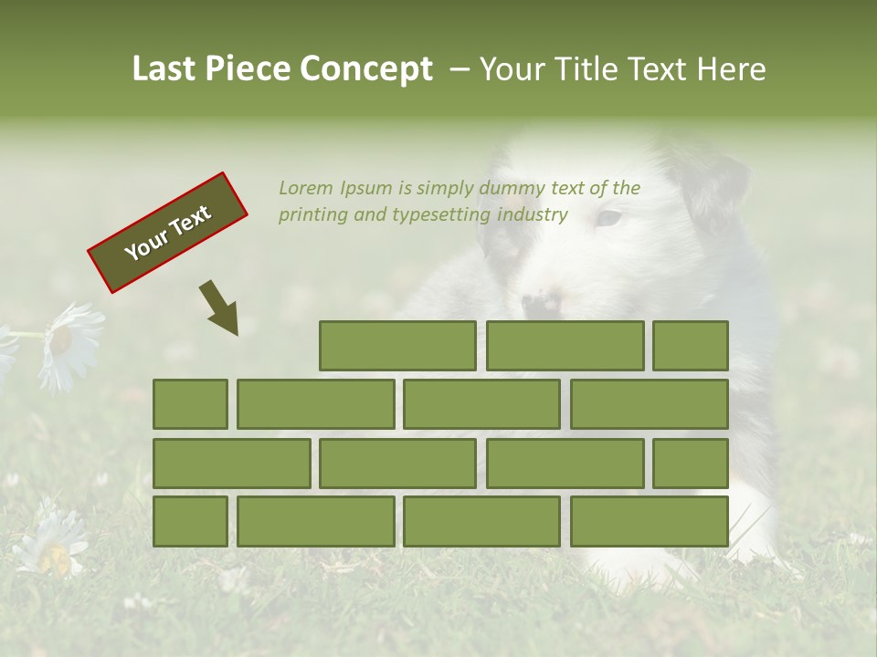 Hunde Hundewelpe Niedlich PowerPoint Template