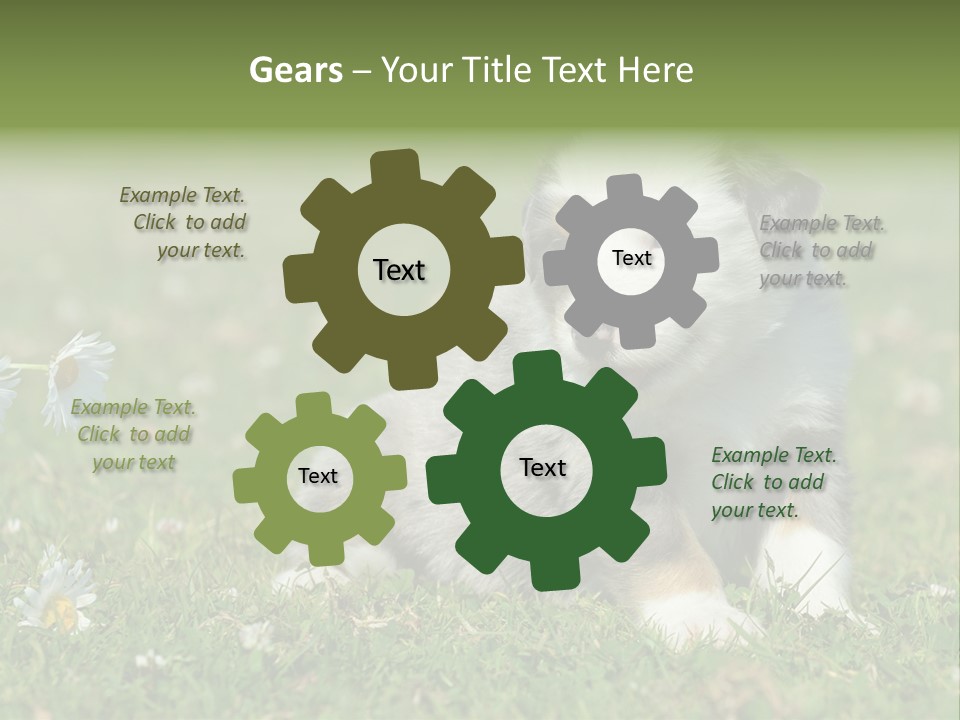 Hunde Hundewelpe Niedlich PowerPoint Template