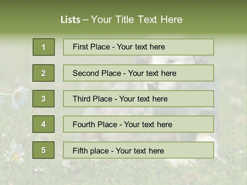 Hunde Hundewelpe Niedlich PowerPoint Template