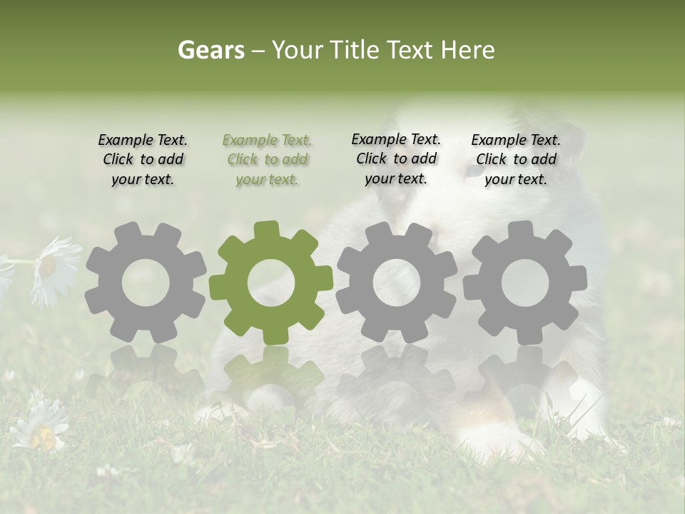 Hunde Hundewelpe Niedlich PowerPoint Template