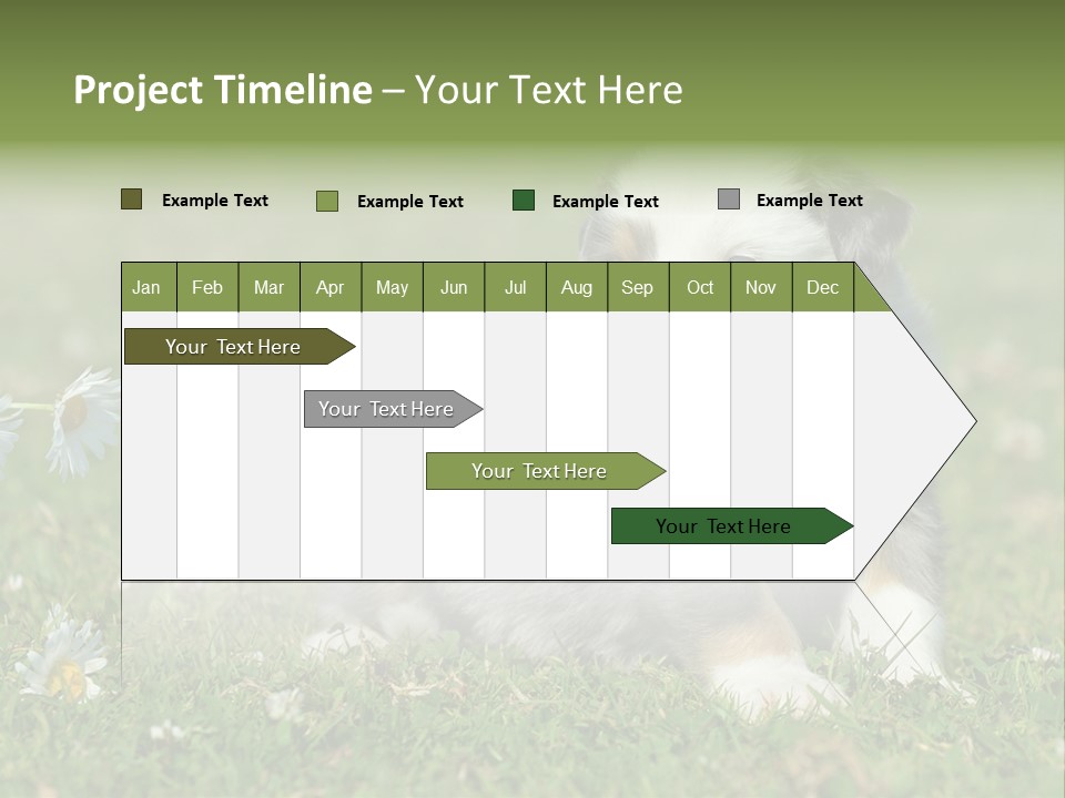 Hunde Hundewelpe Niedlich PowerPoint Template