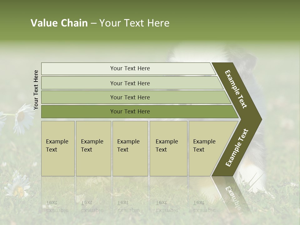 Hunde Hundewelpe Niedlich PowerPoint Template