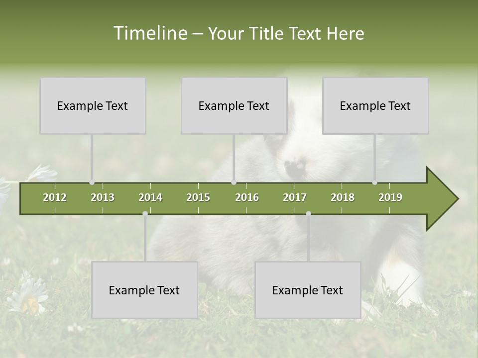 Hunde Hundewelpe Niedlich PowerPoint Template
