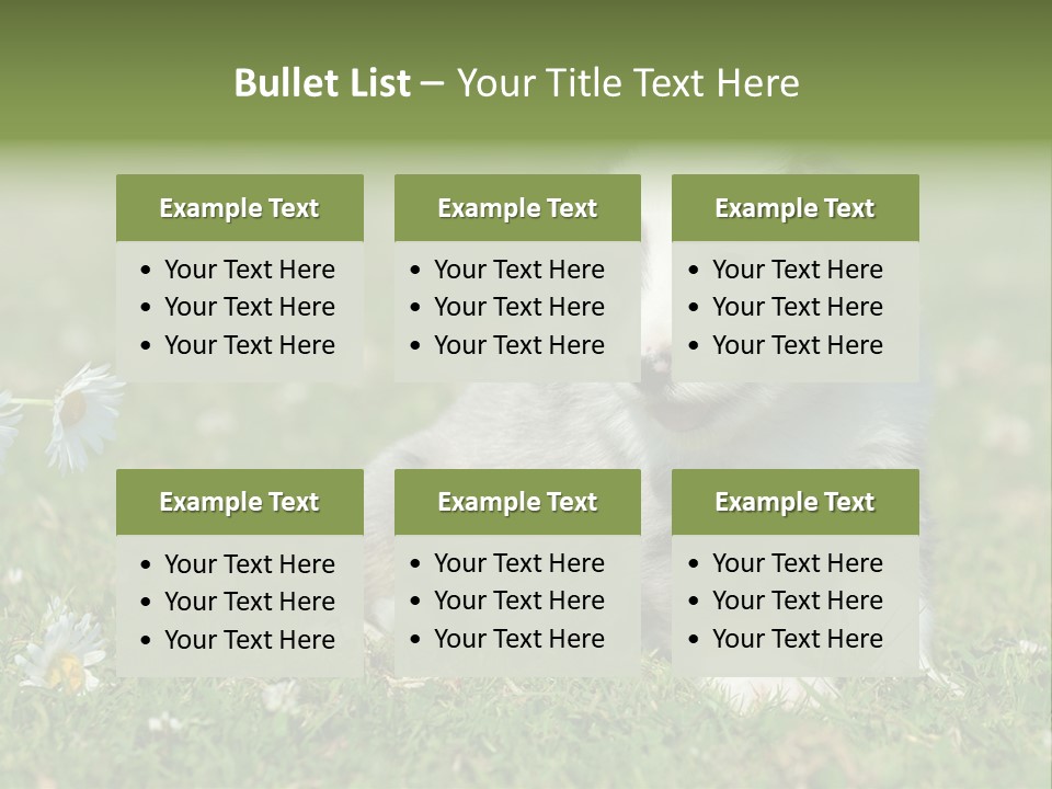 Hunde Hundewelpe Niedlich PowerPoint Template