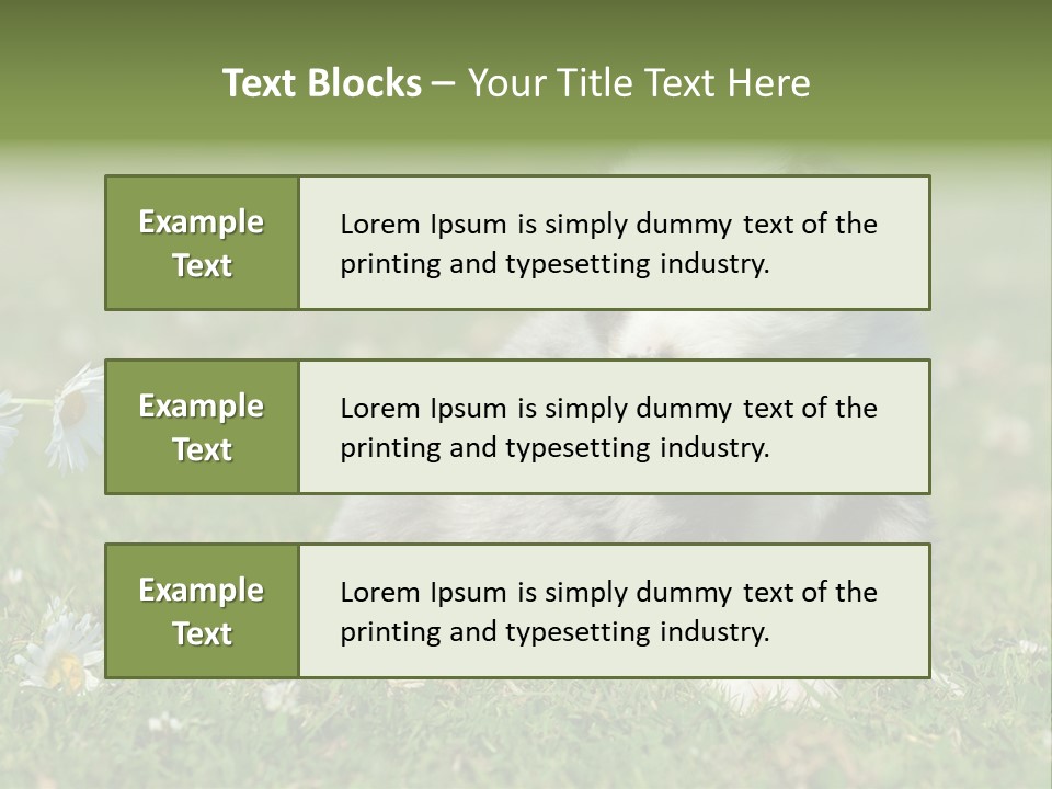 Hunde Hundewelpe Niedlich PowerPoint Template