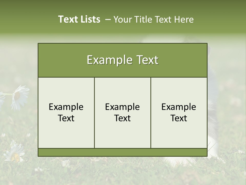 Hunde Hundewelpe Niedlich PowerPoint Template