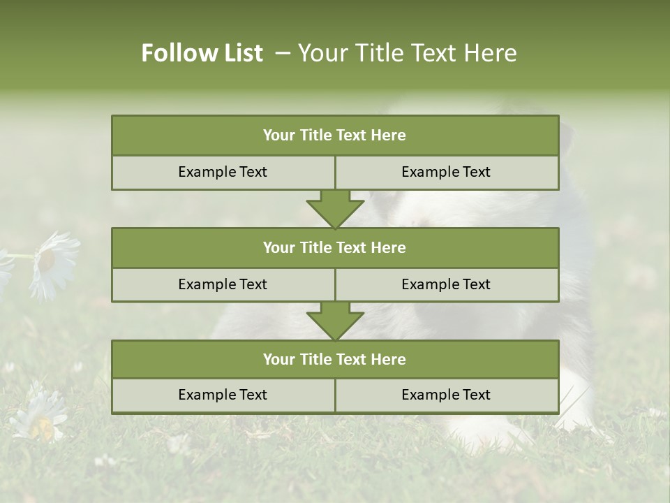 Hunde Hundewelpe Niedlich PowerPoint Template