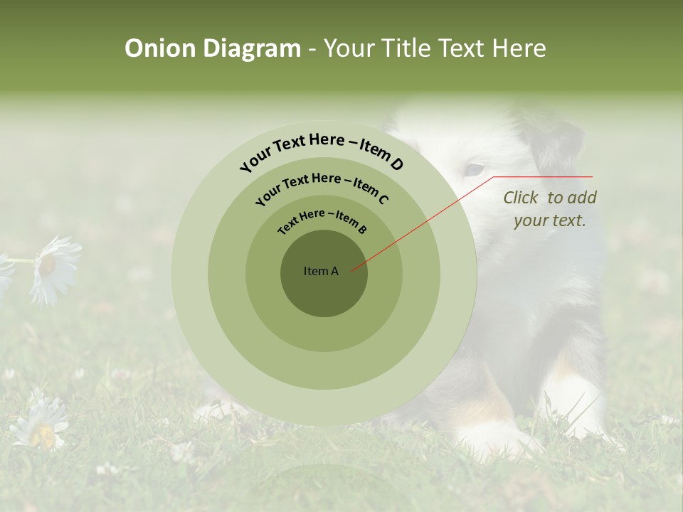 Hunde Hundewelpe Niedlich PowerPoint Template