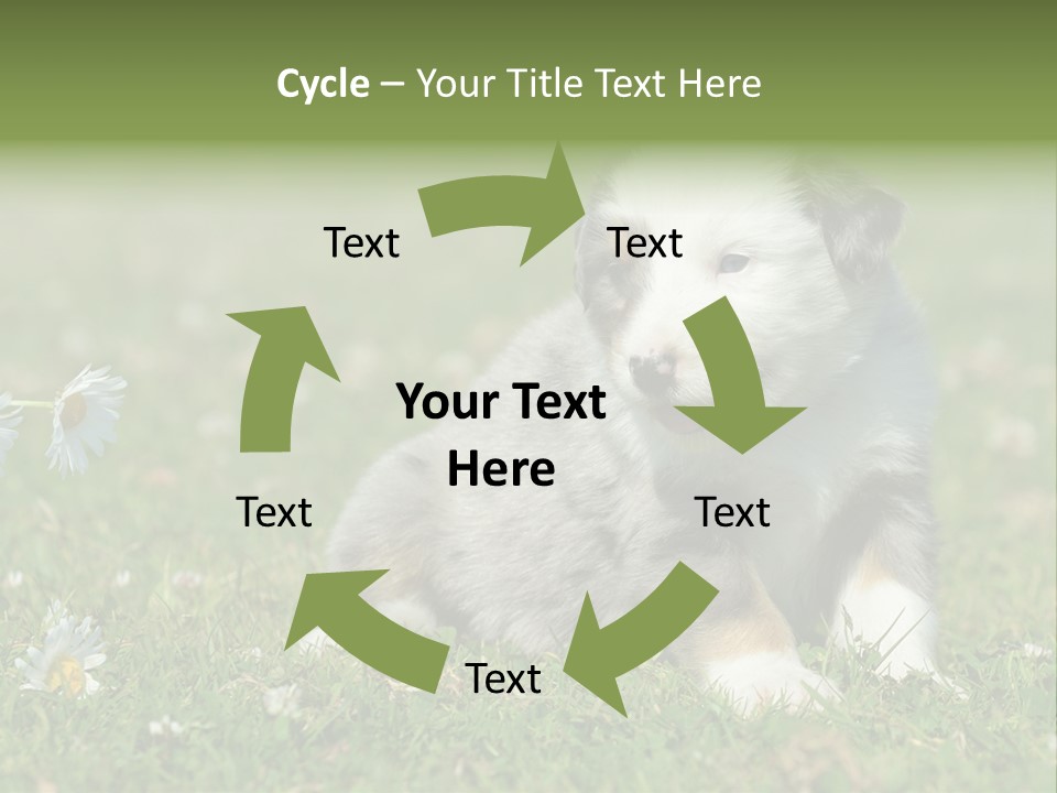 Hunde Hundewelpe Niedlich PowerPoint Template