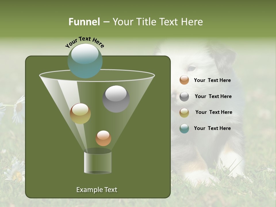 Hunde Hundewelpe Niedlich PowerPoint Template
