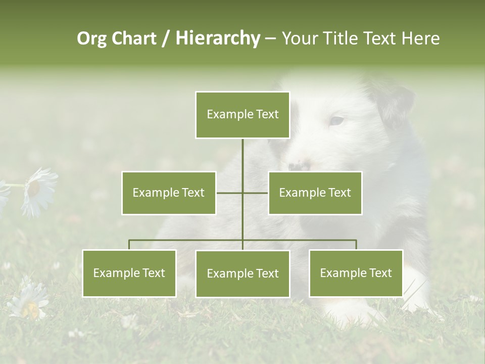 Hunde Hundewelpe Niedlich PowerPoint Template