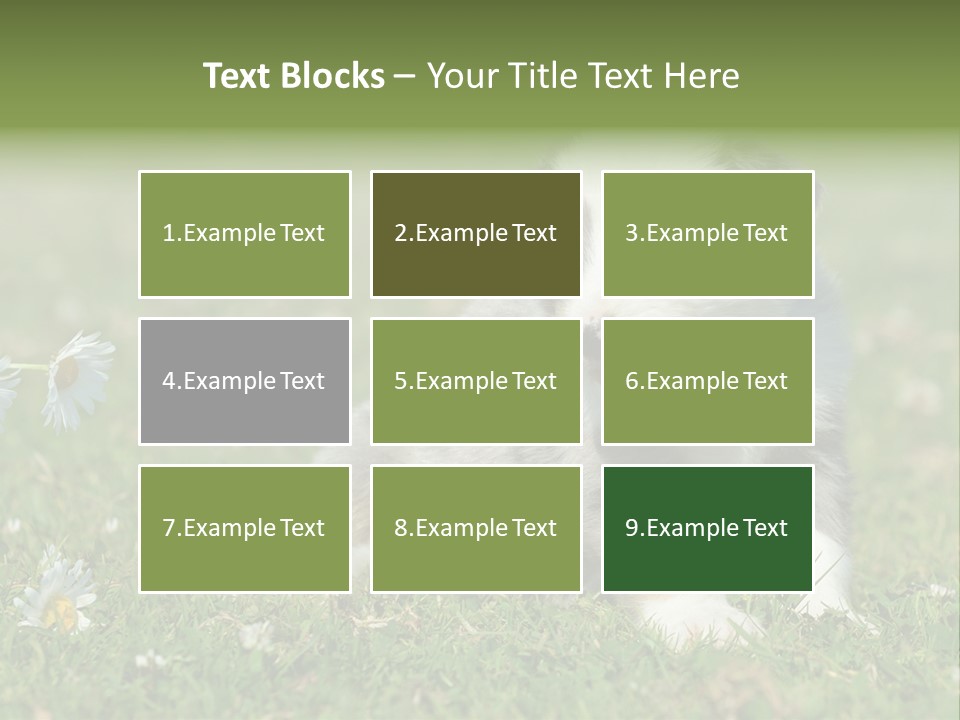 Hunde Hundewelpe Niedlich PowerPoint Template