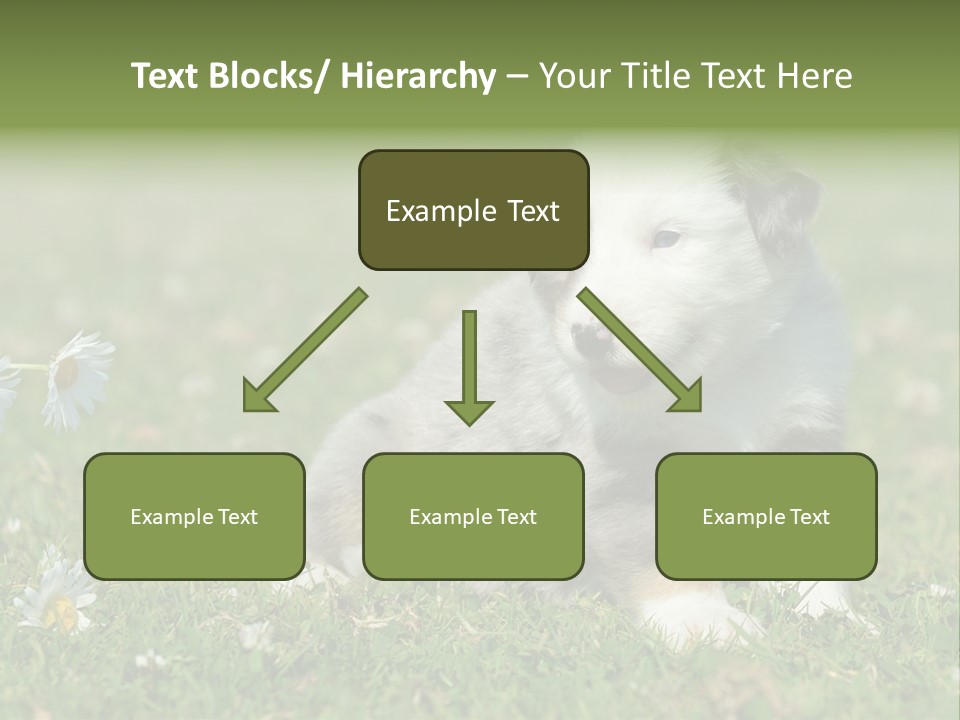 Hunde Hundewelpe Niedlich PowerPoint Template