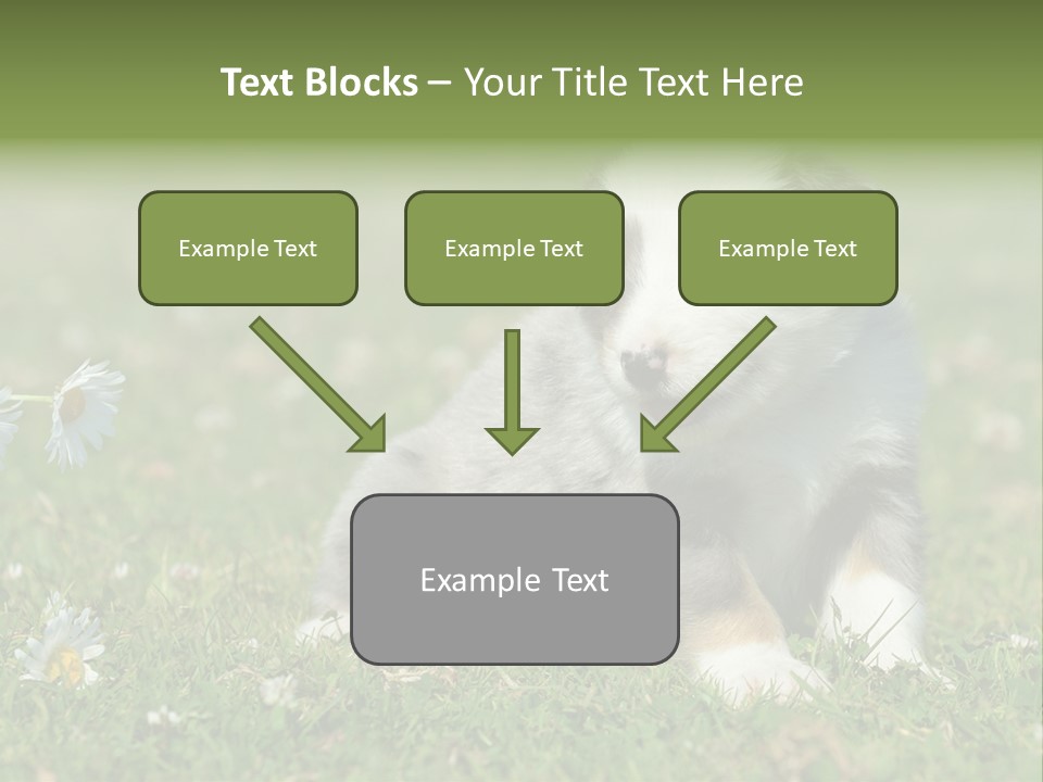 Hunde Hundewelpe Niedlich PowerPoint Template
