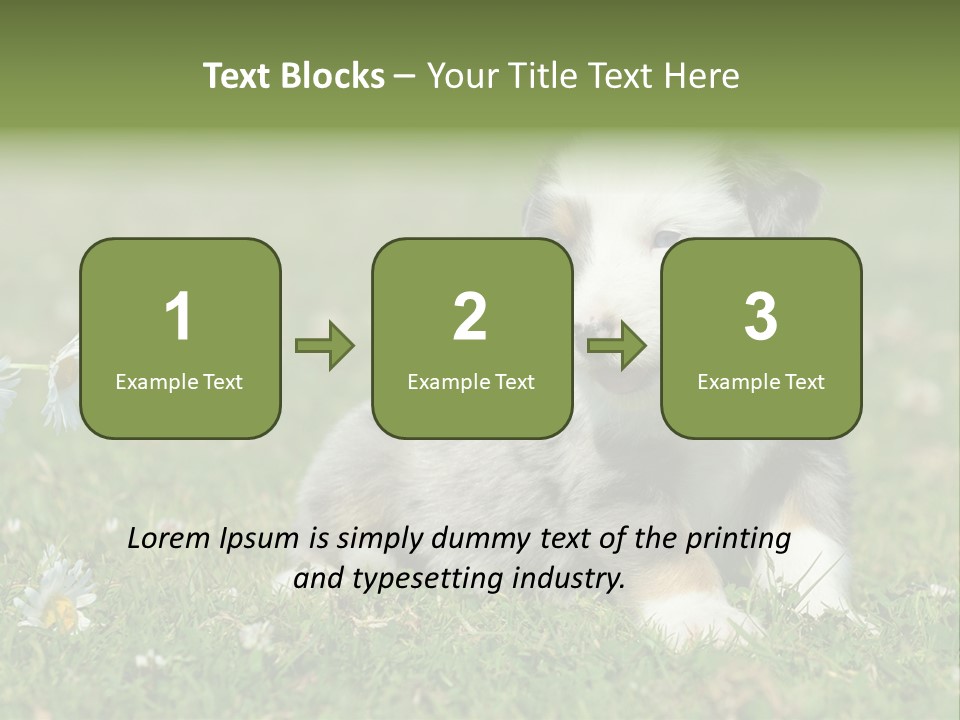 Hunde Hundewelpe Niedlich PowerPoint Template